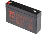 Battery T6 power NP6-8, 6V, 8Ah