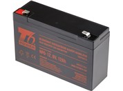 Battery T6 Power NP6-12, 6V, 12Ah