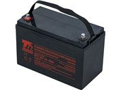 Battery T6 Power NP12-100, 12V, 100Ah